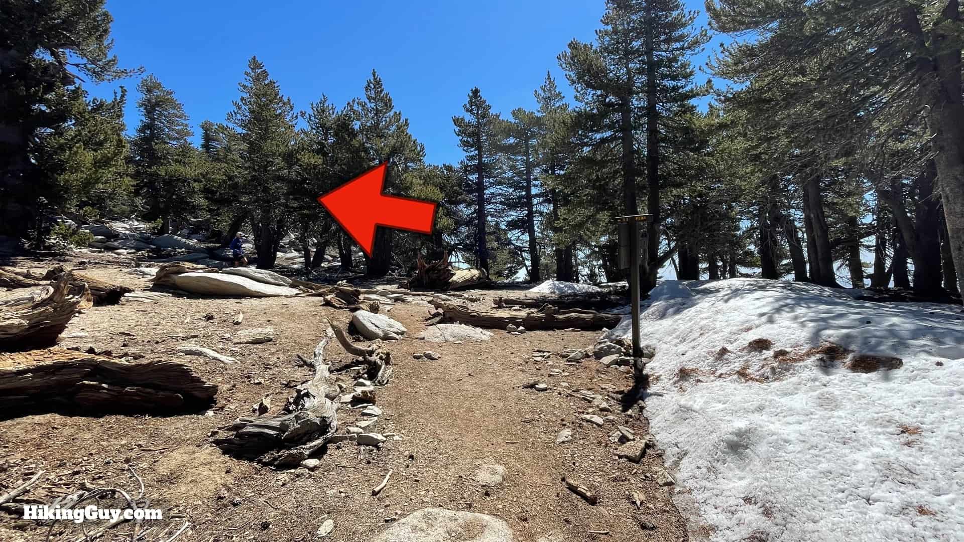 Mt San Jacinto Deer Springs Trail 50