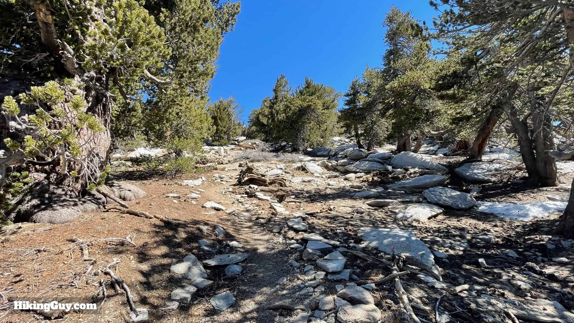 Mt San Jacinto Deer Springs Trail 51