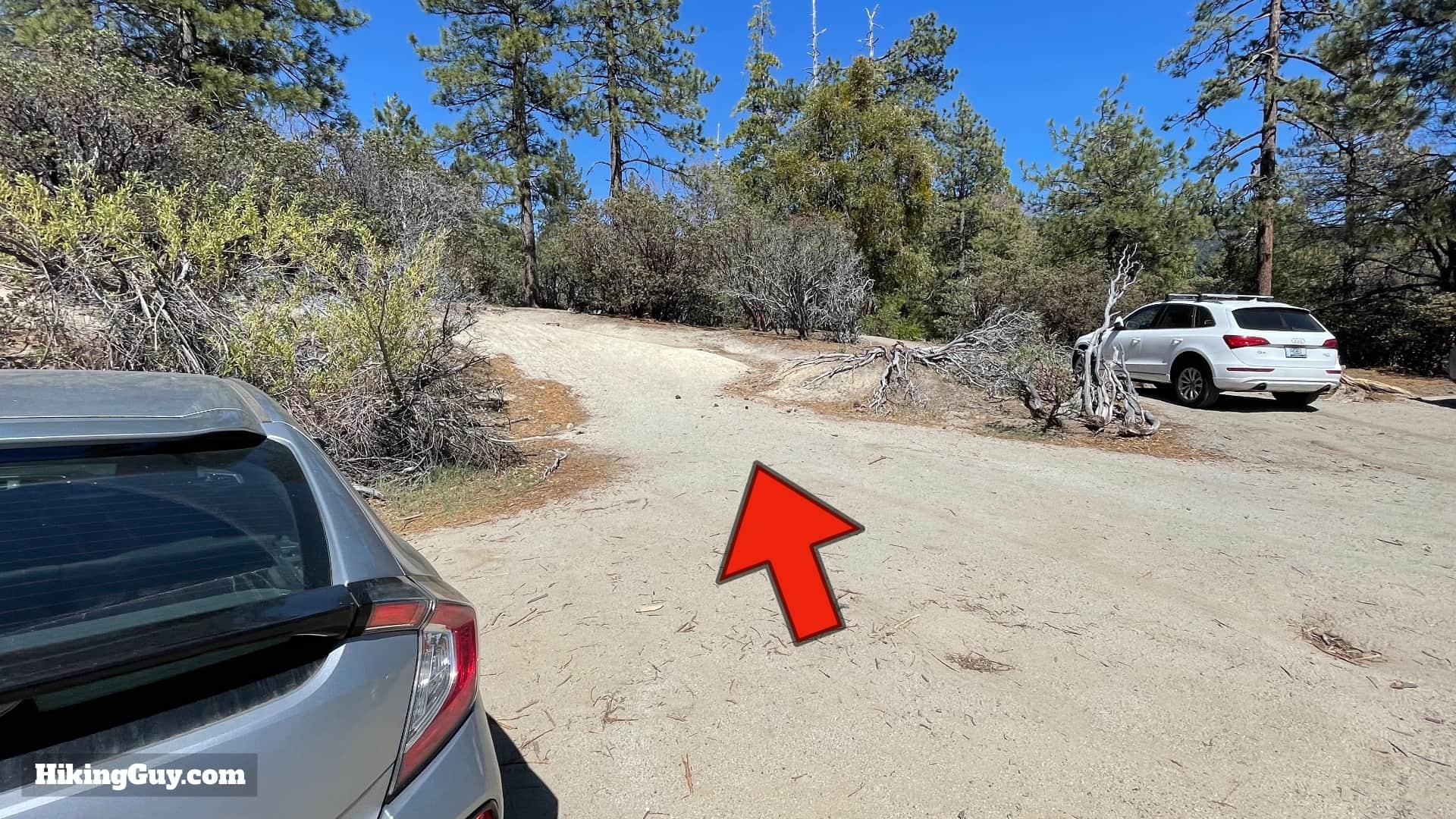 Mt San Jacinto Deer Springs Trail 6