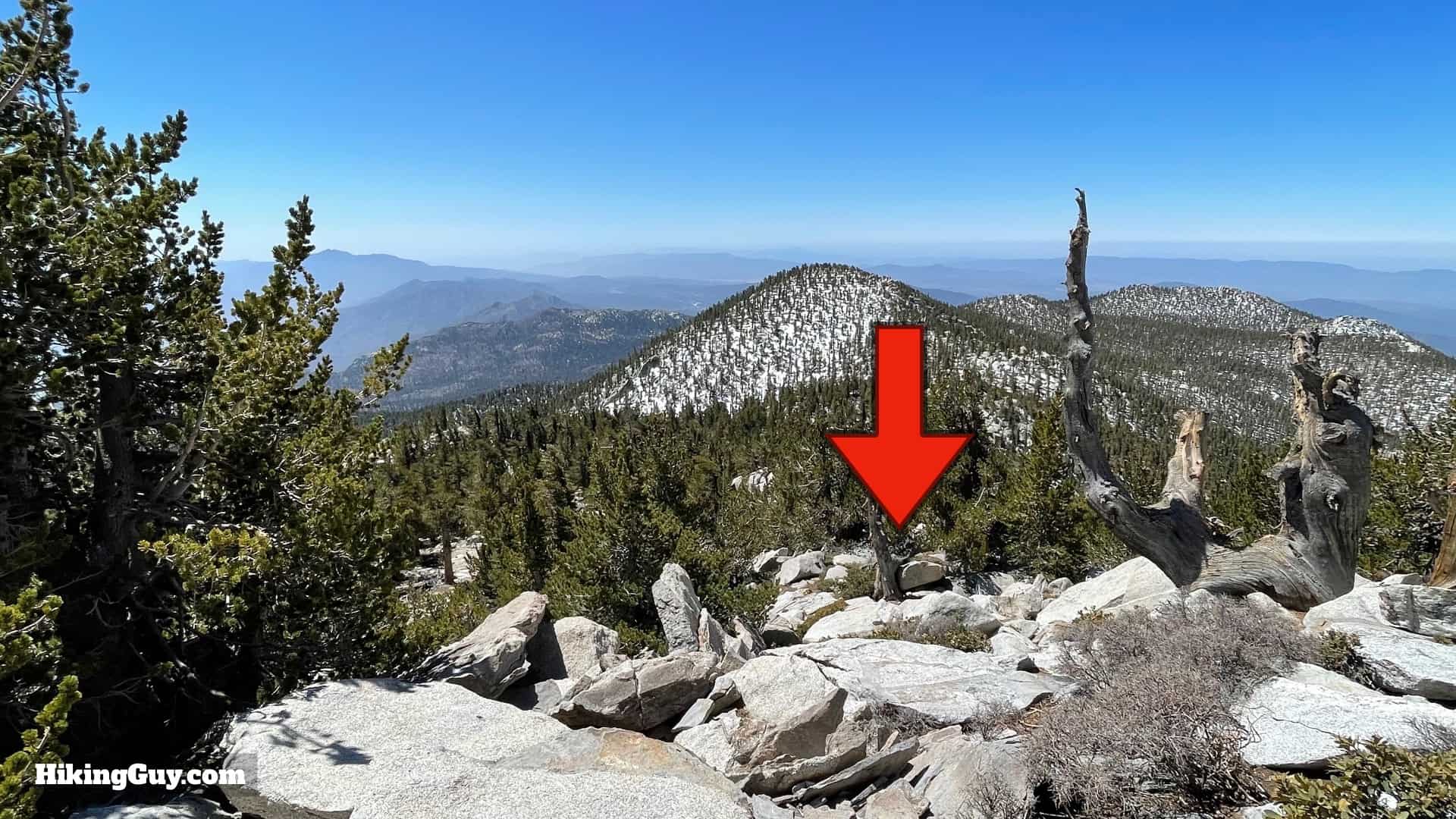 Mt San Jacinto Deer Springs Trail 65