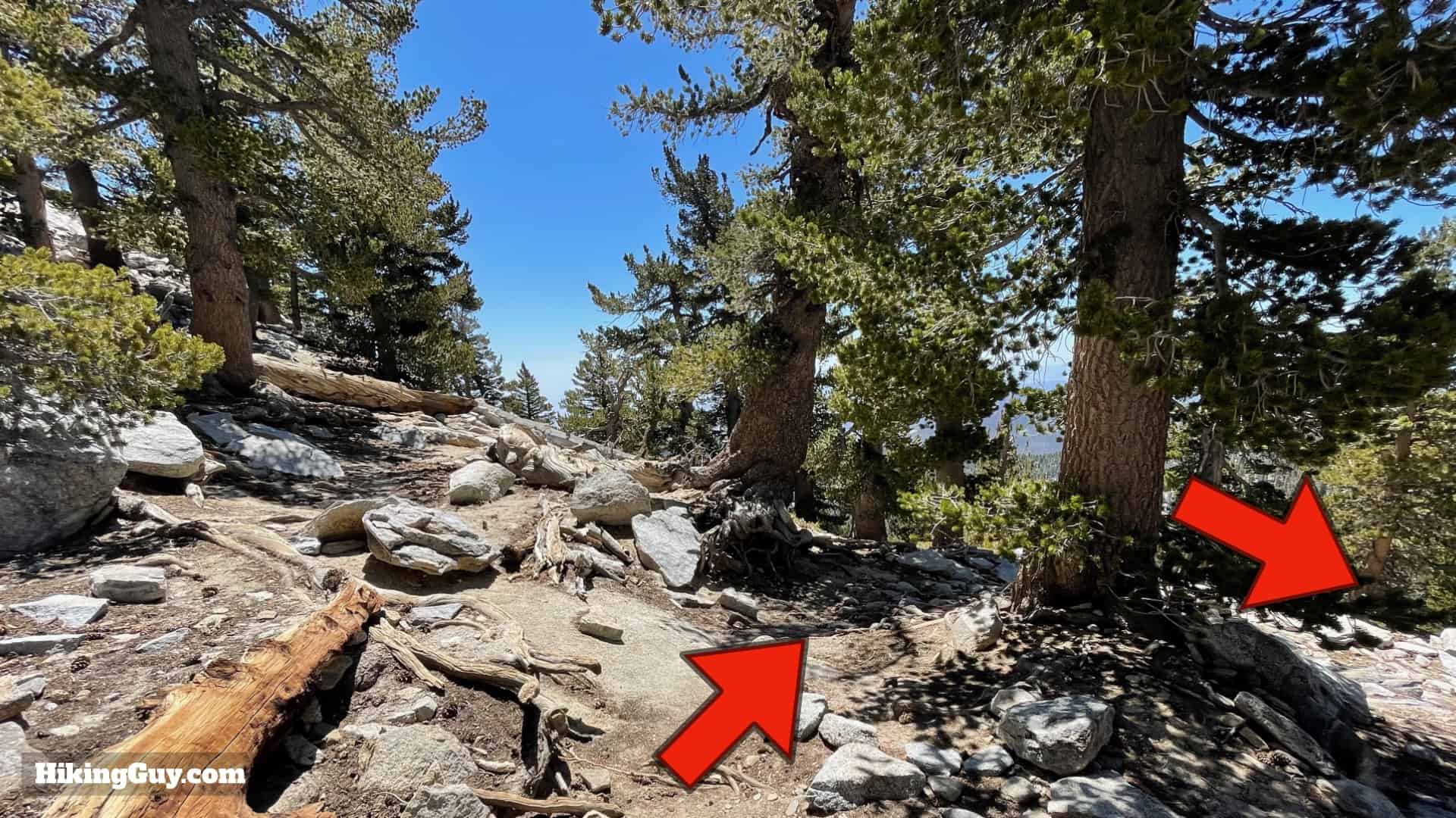 Mt San Jacinto Deer Springs Trail 69