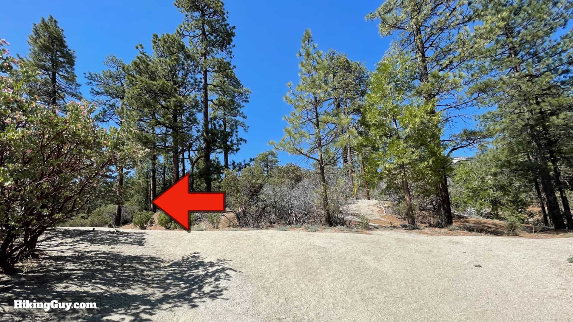 Mt San Jacinto Deer Springs Trail 7