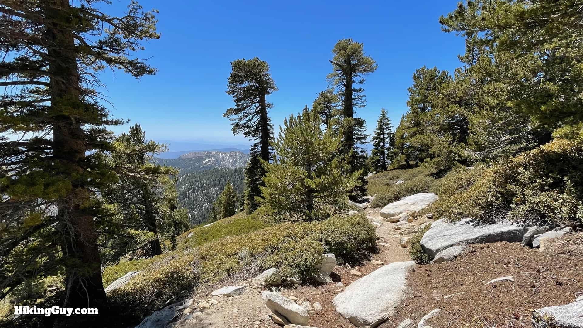 Mt San Jacinto Deer Springs Trail 76