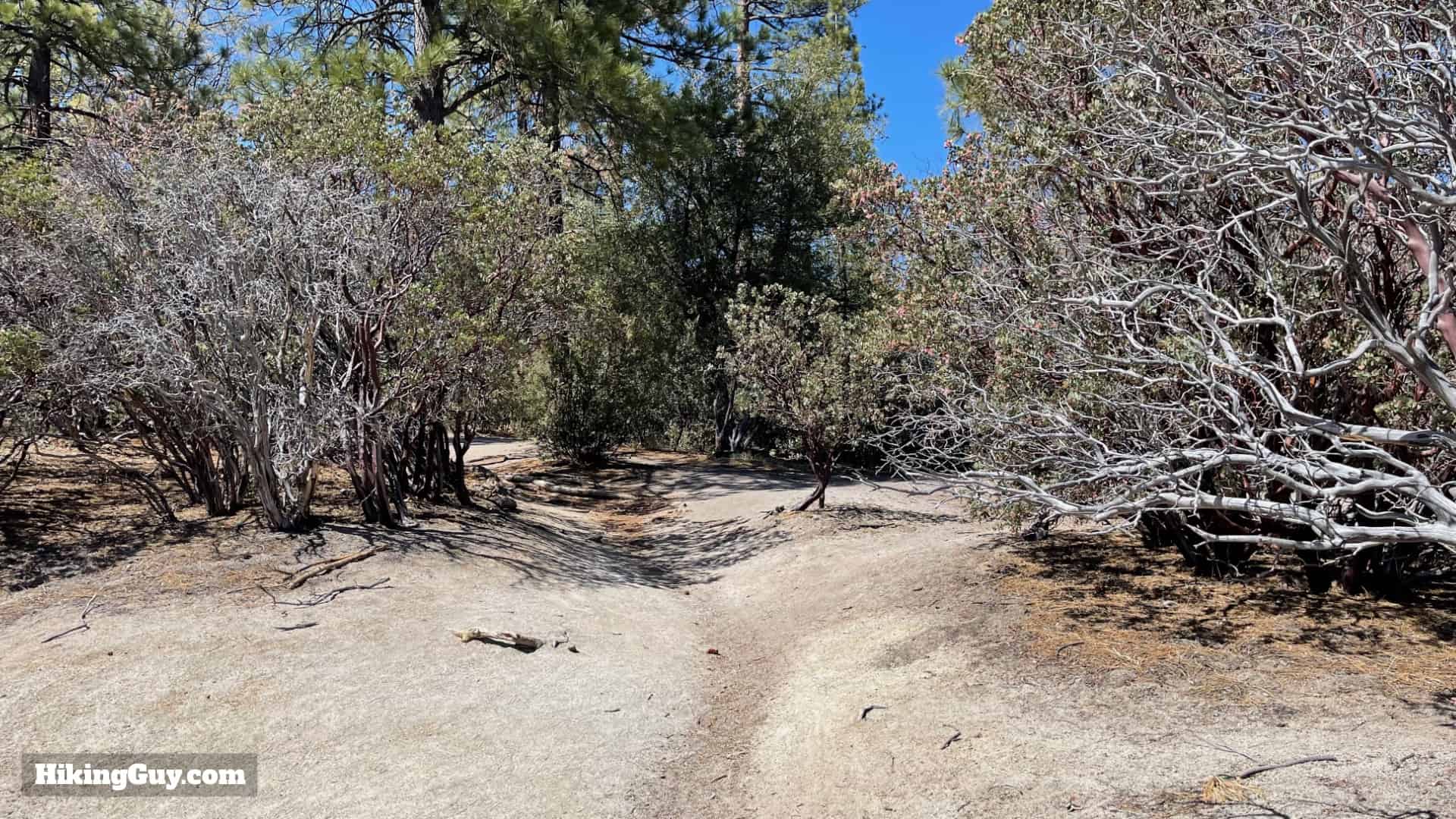 Mt San Jacinto Deer Springs Trail 8