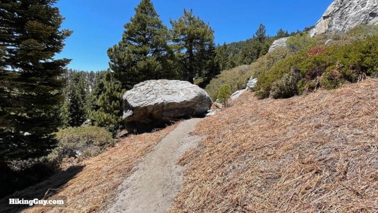 Mt San Jacinto Deer Springs Trail 80