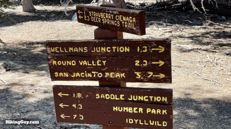 Mt San Jacinto Deer Springs Trail 83