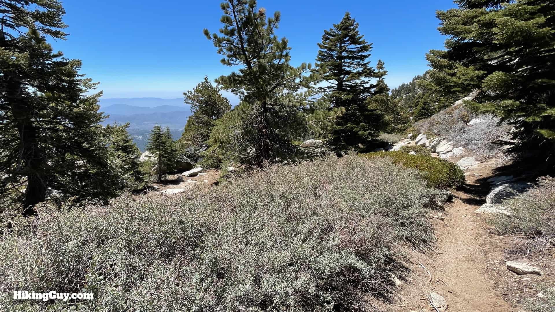 Mt San Jacinto Deer Springs Trail 85