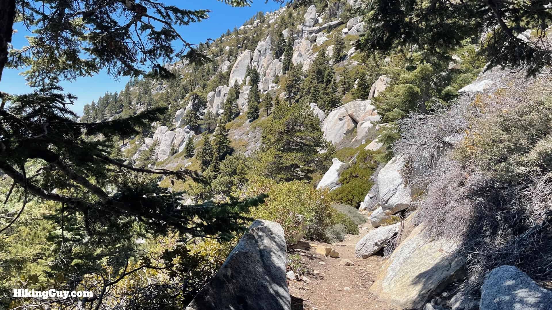 Mt San Jacinto Deer Springs Trail 87