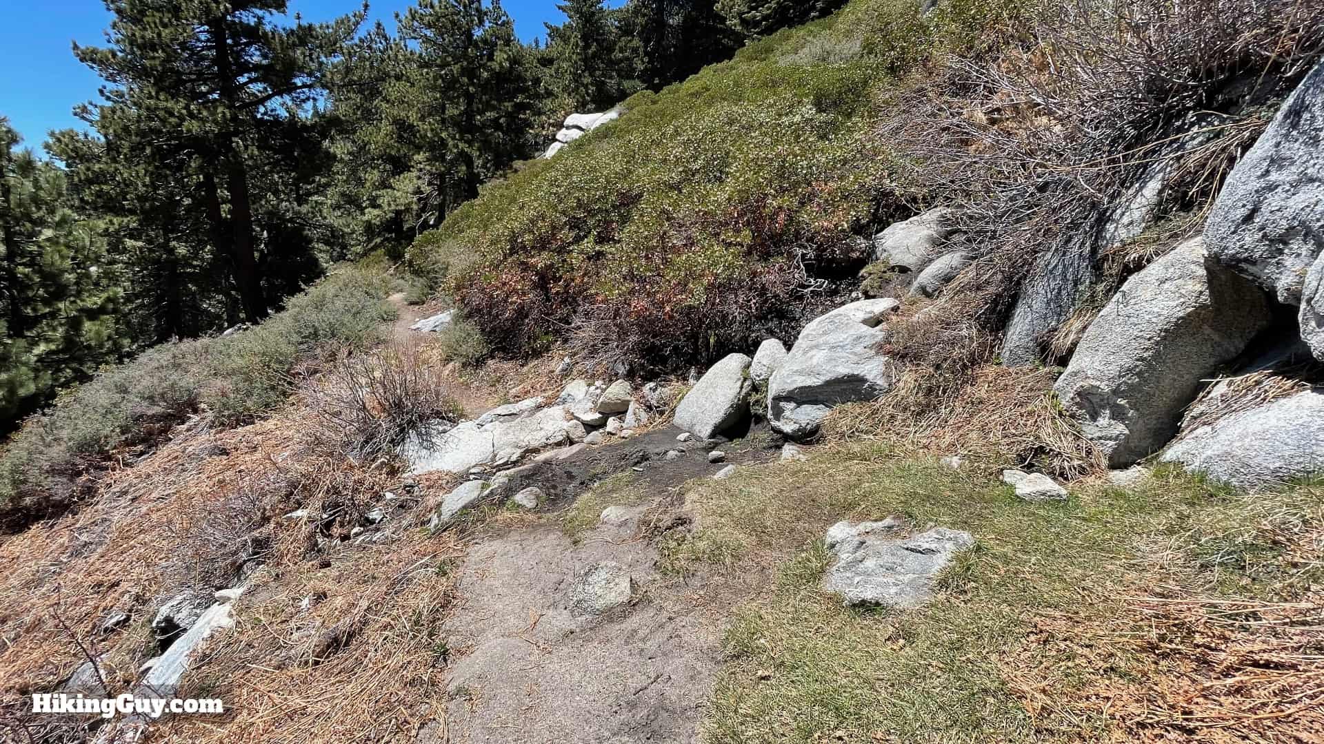 Mt San Jacinto Deer Springs Trail 89