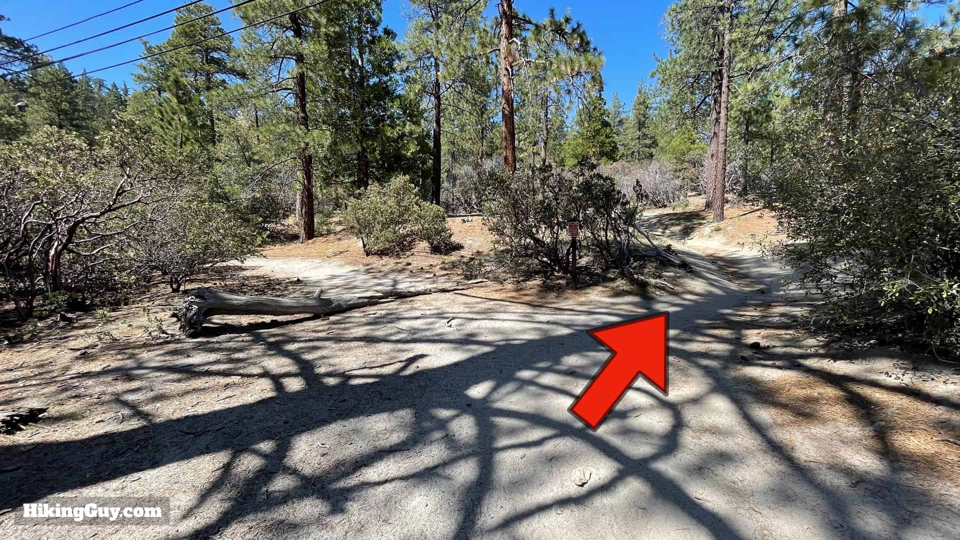 Mt San Jacinto Deer Springs Trail 9