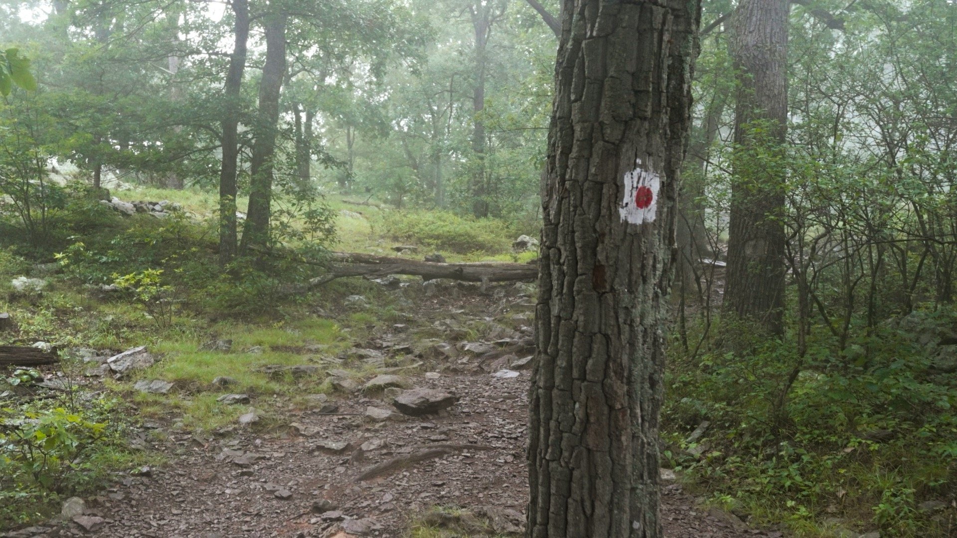 Mt Tammany Red Dot Directions 1