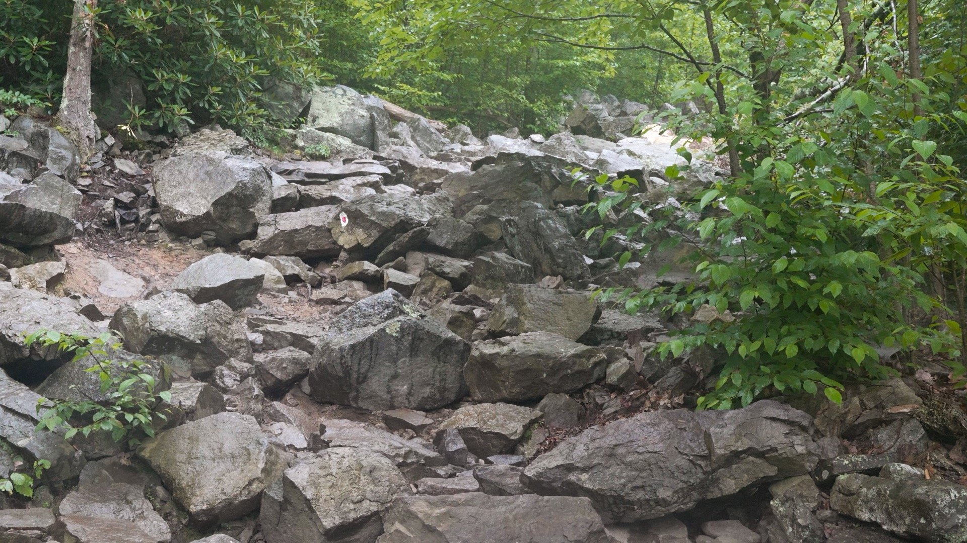 Mt Tammany Red Dot Directions 10