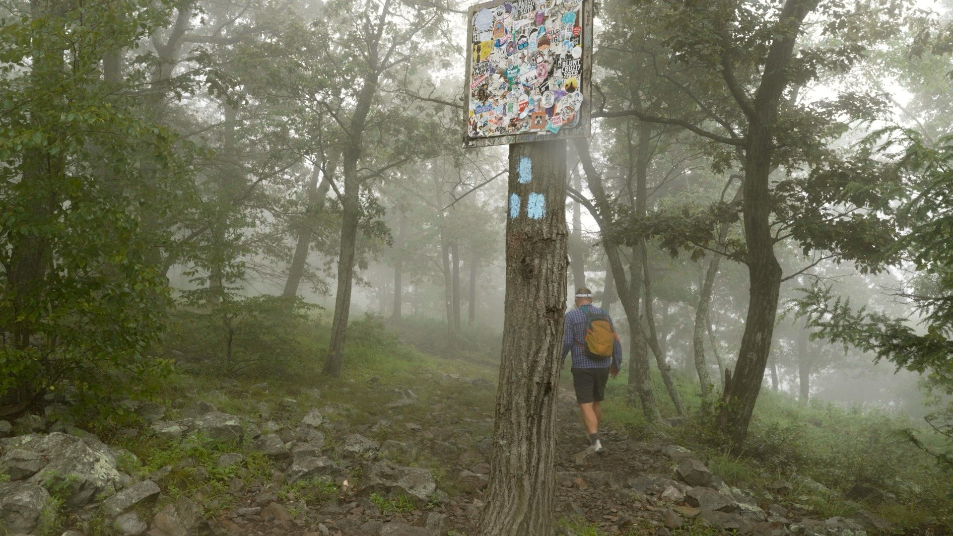 Mt Tammany Red Dot Directions 11