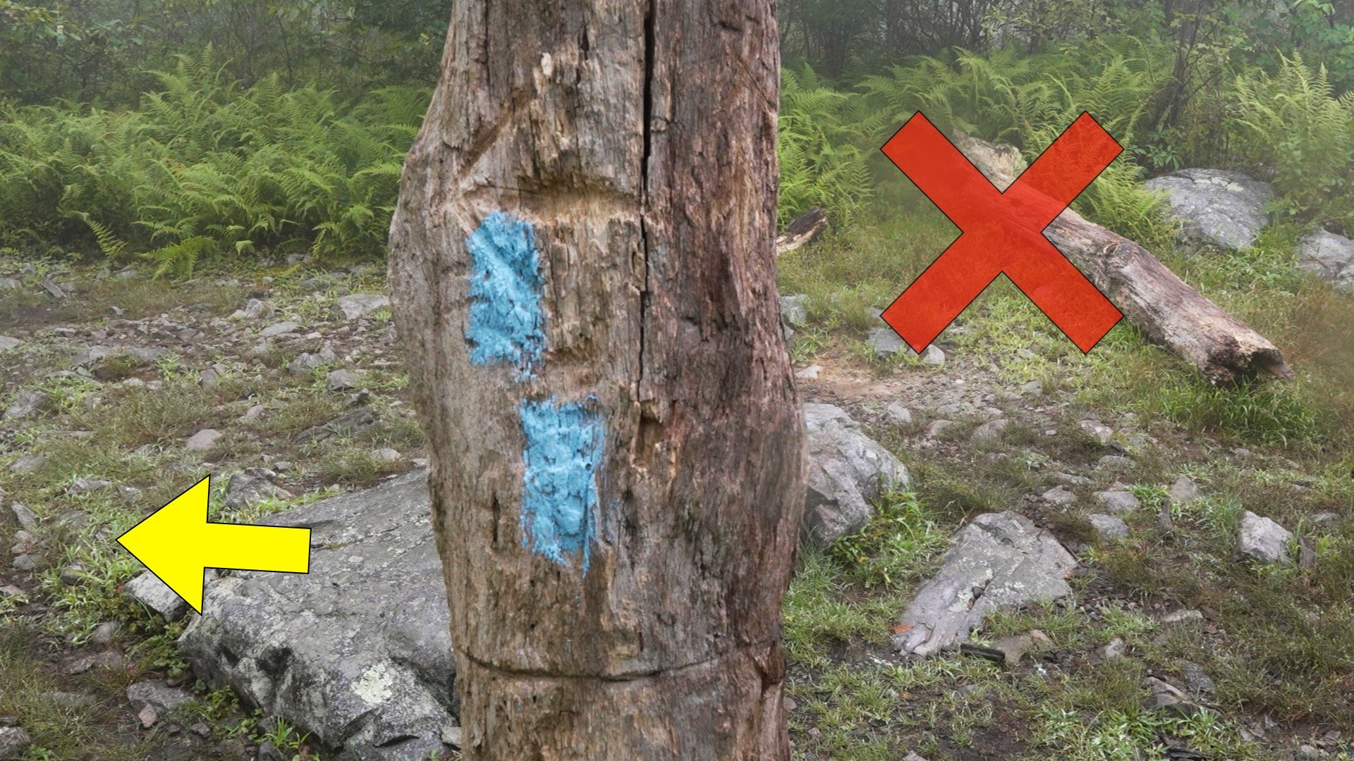 Mt Tammany Red Dot Directions 12