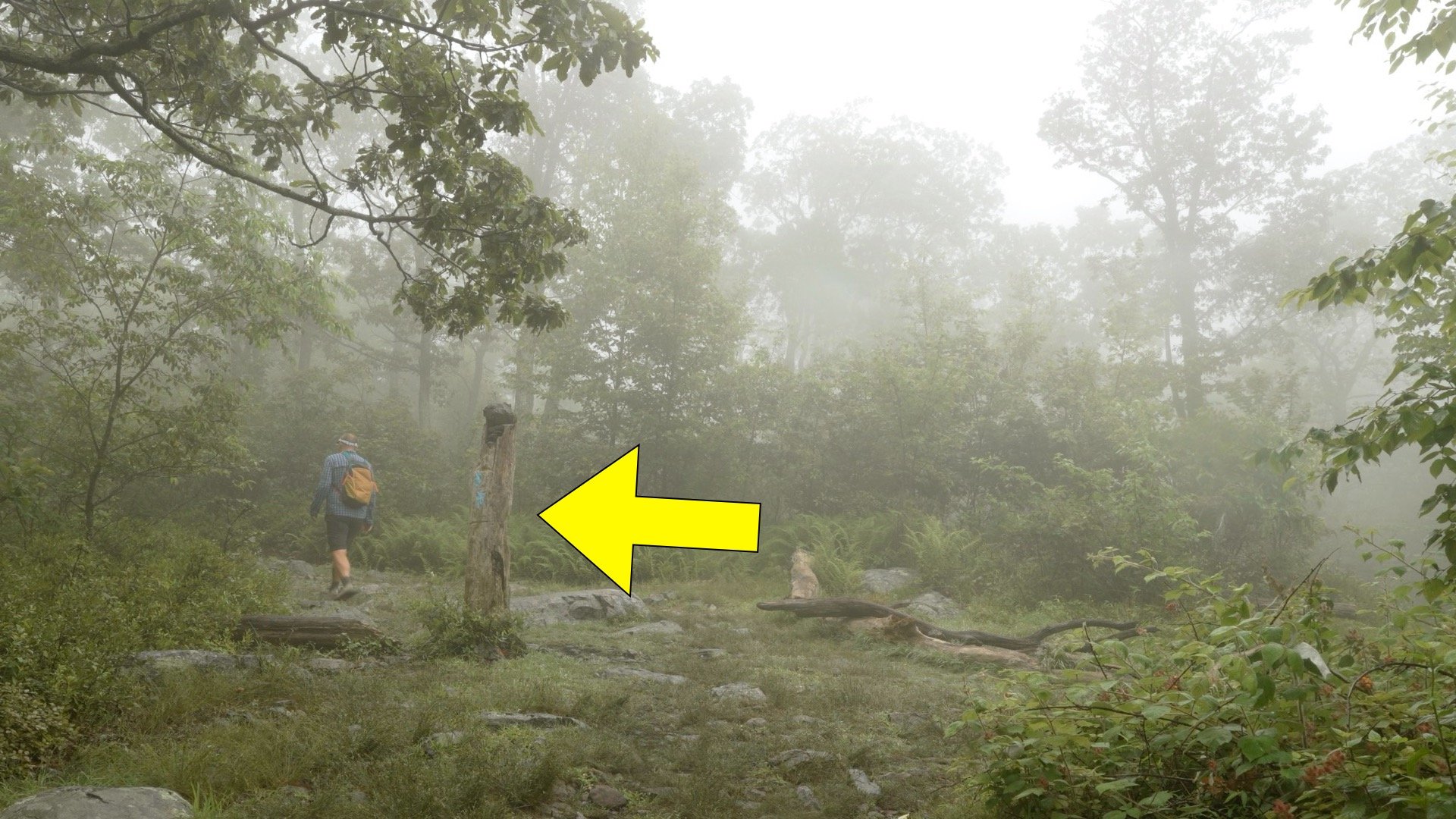 Mt Tammany Red Dot Directions 13