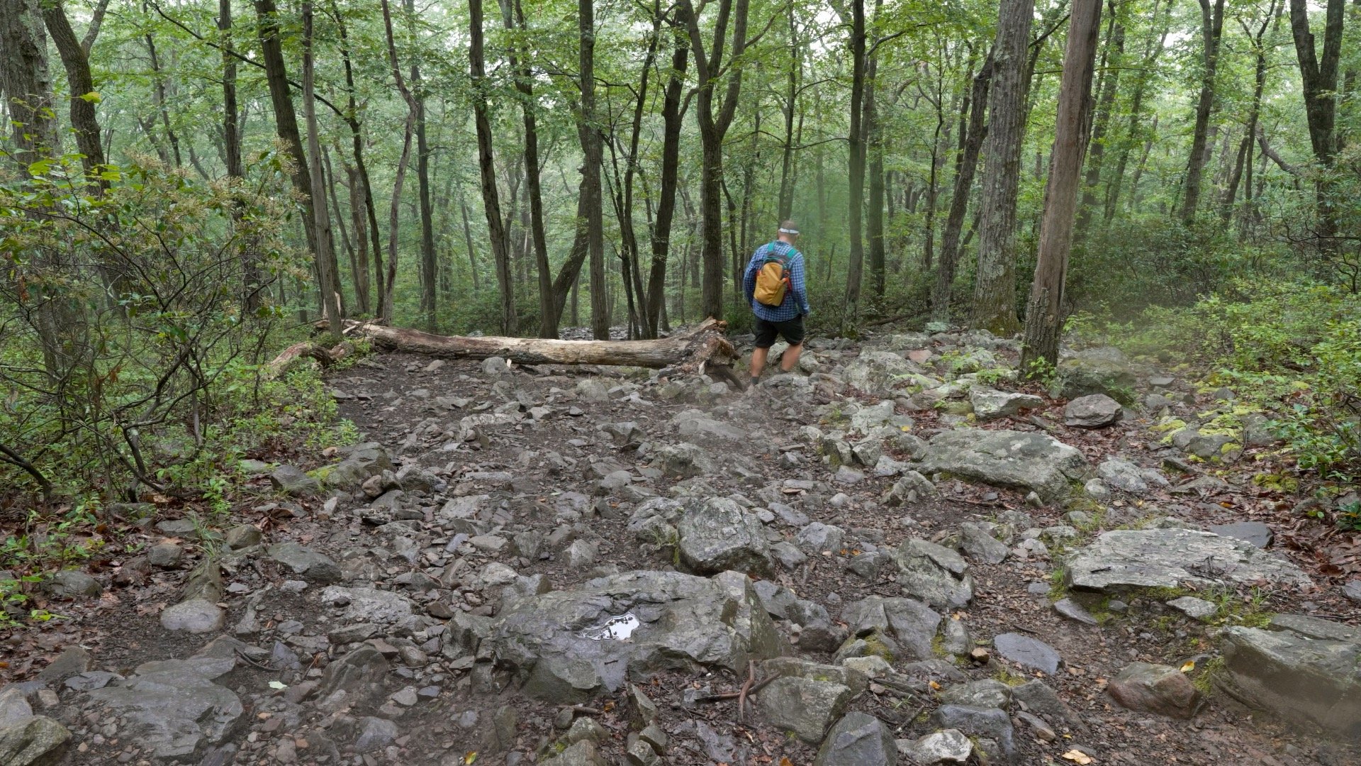 Mt Tammany Red Dot Directions 14