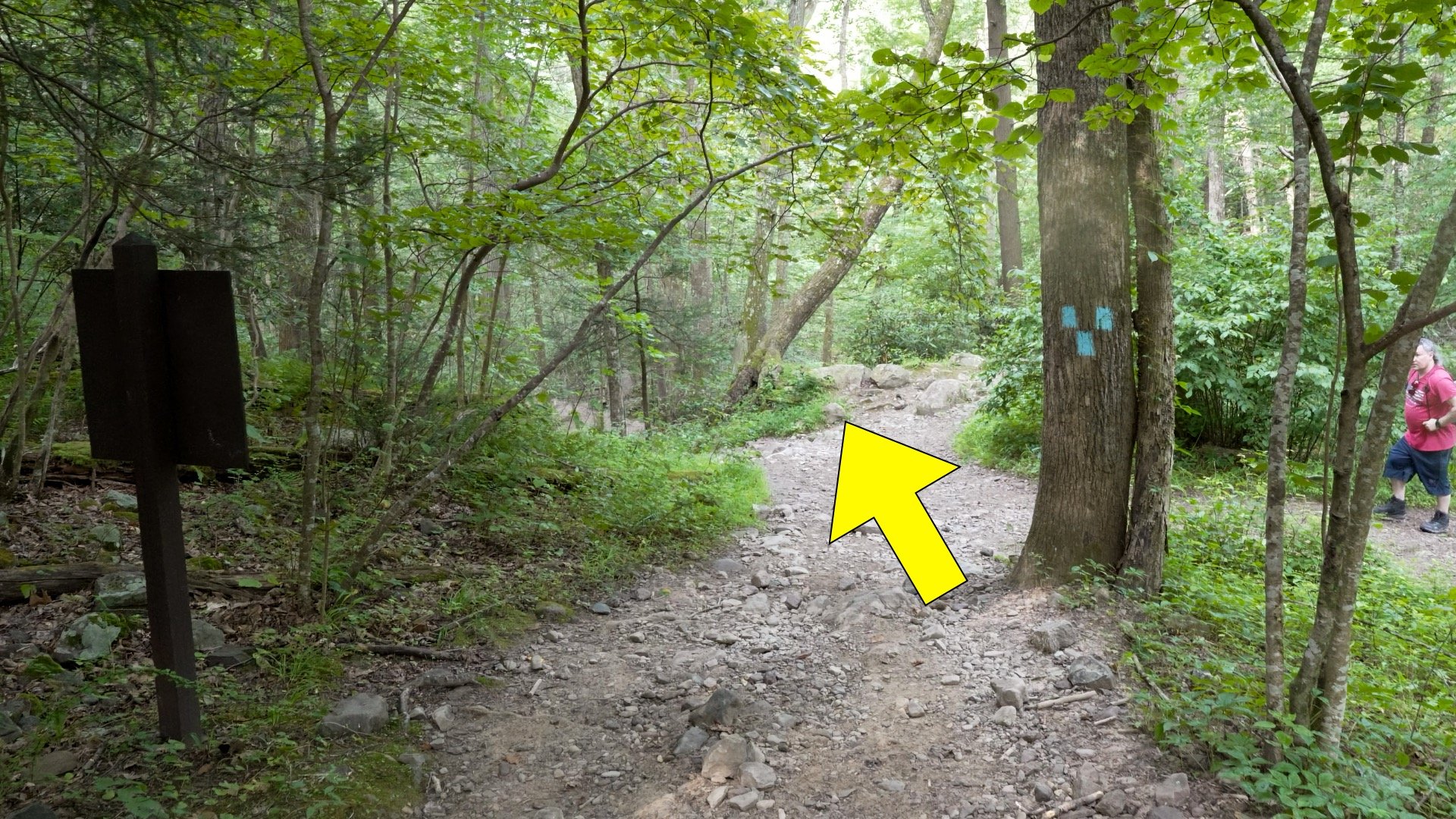 Mt Tammany Red Dot Directions 15