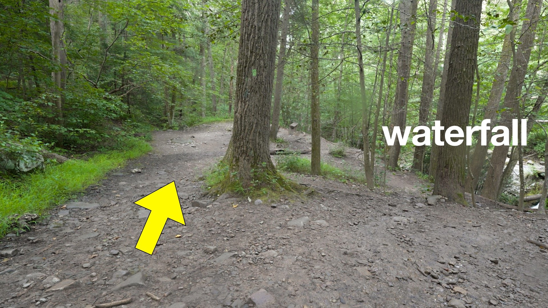 Mt Tammany Red Dot Directions 16