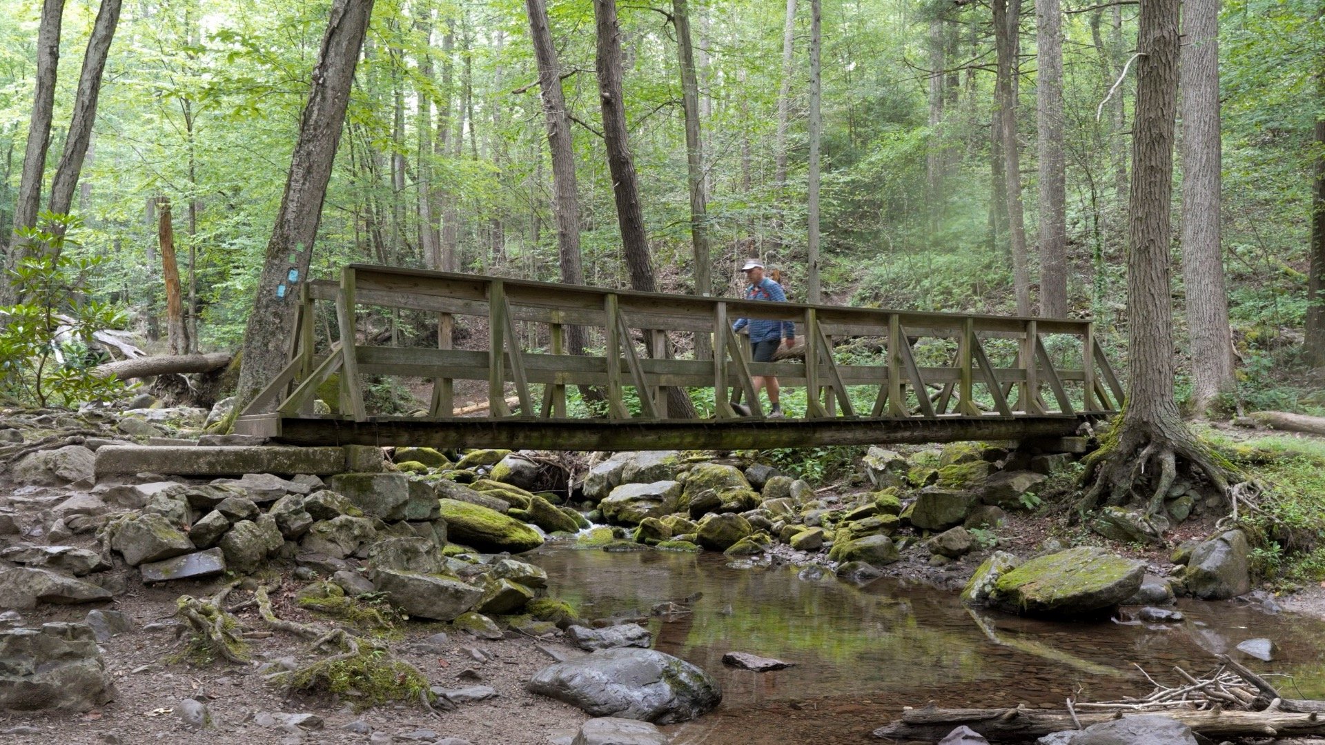 Mt Tammany Red Dot Directions 18