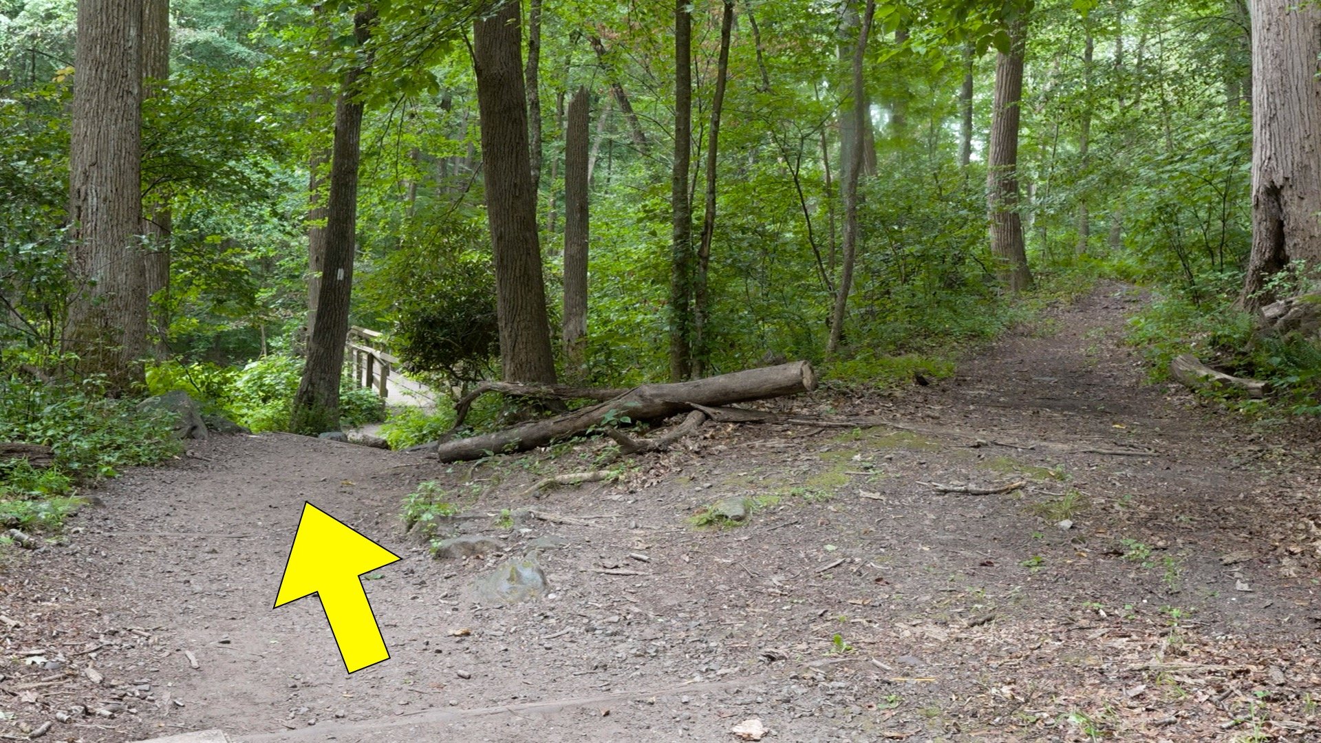 Mt Tammany Red Dot Directions 20