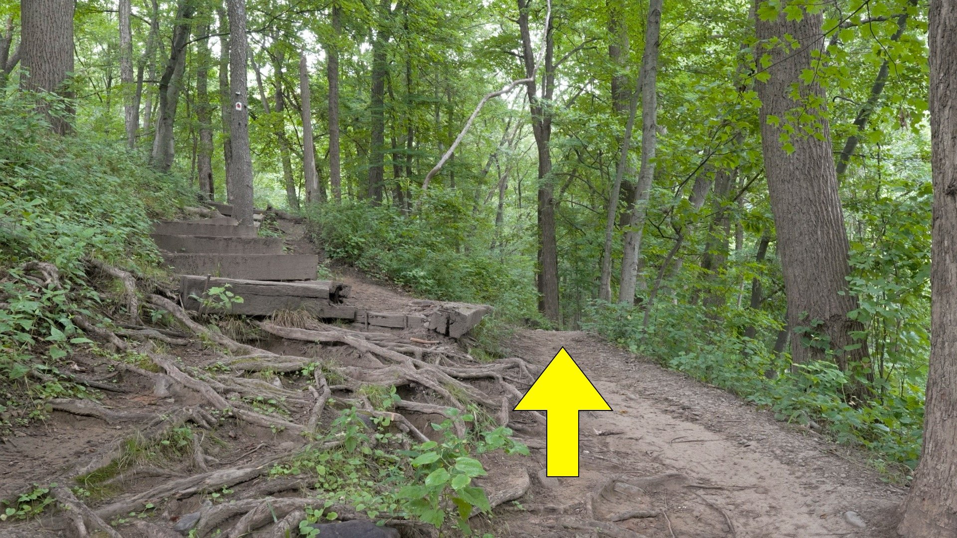 Mt Tammany Red Dot Directions 23