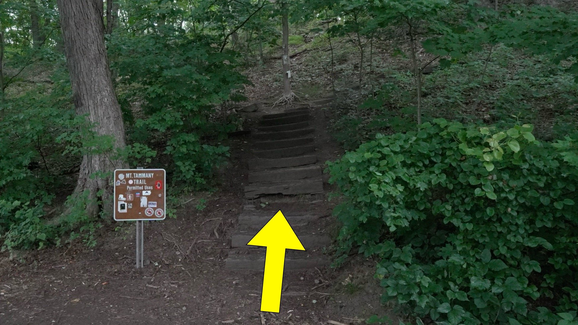 Mt Tammany Red Dot Directions 3