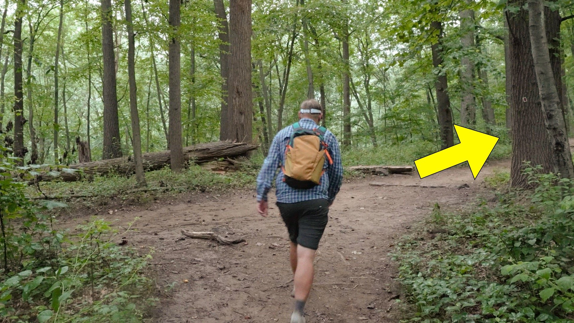 Mt Tammany Red Dot Directions 4