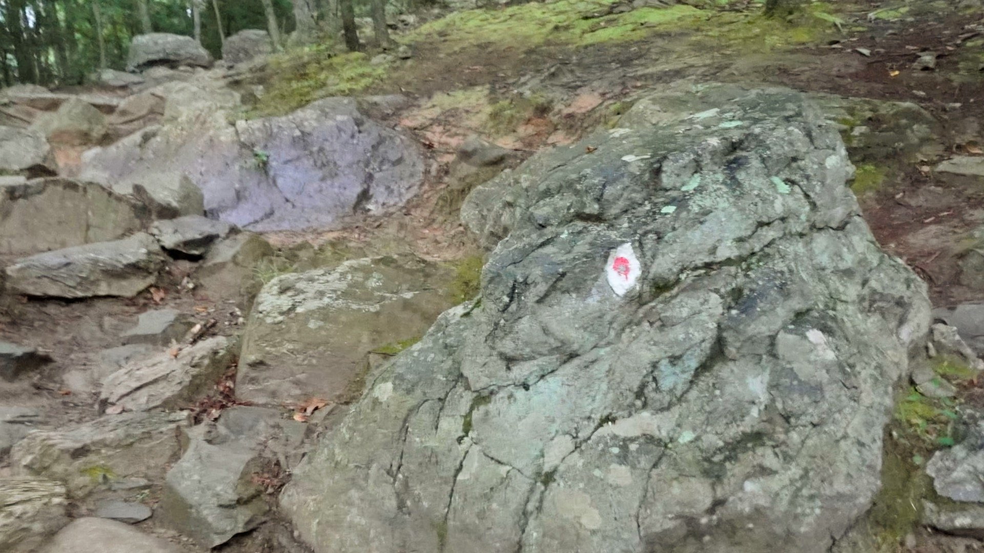 Mt Tammany Red Dot Directions 5