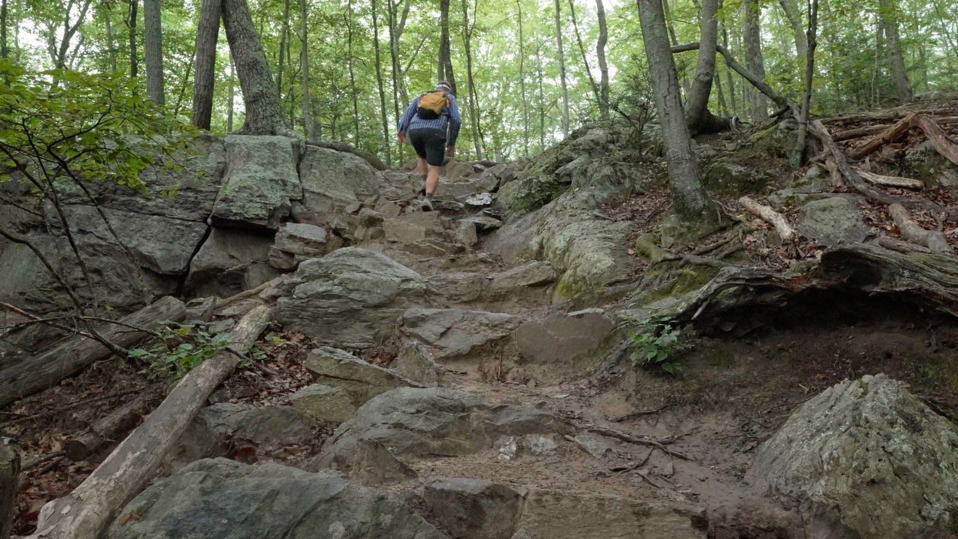 Mt Tammany Red Dot Directions 6