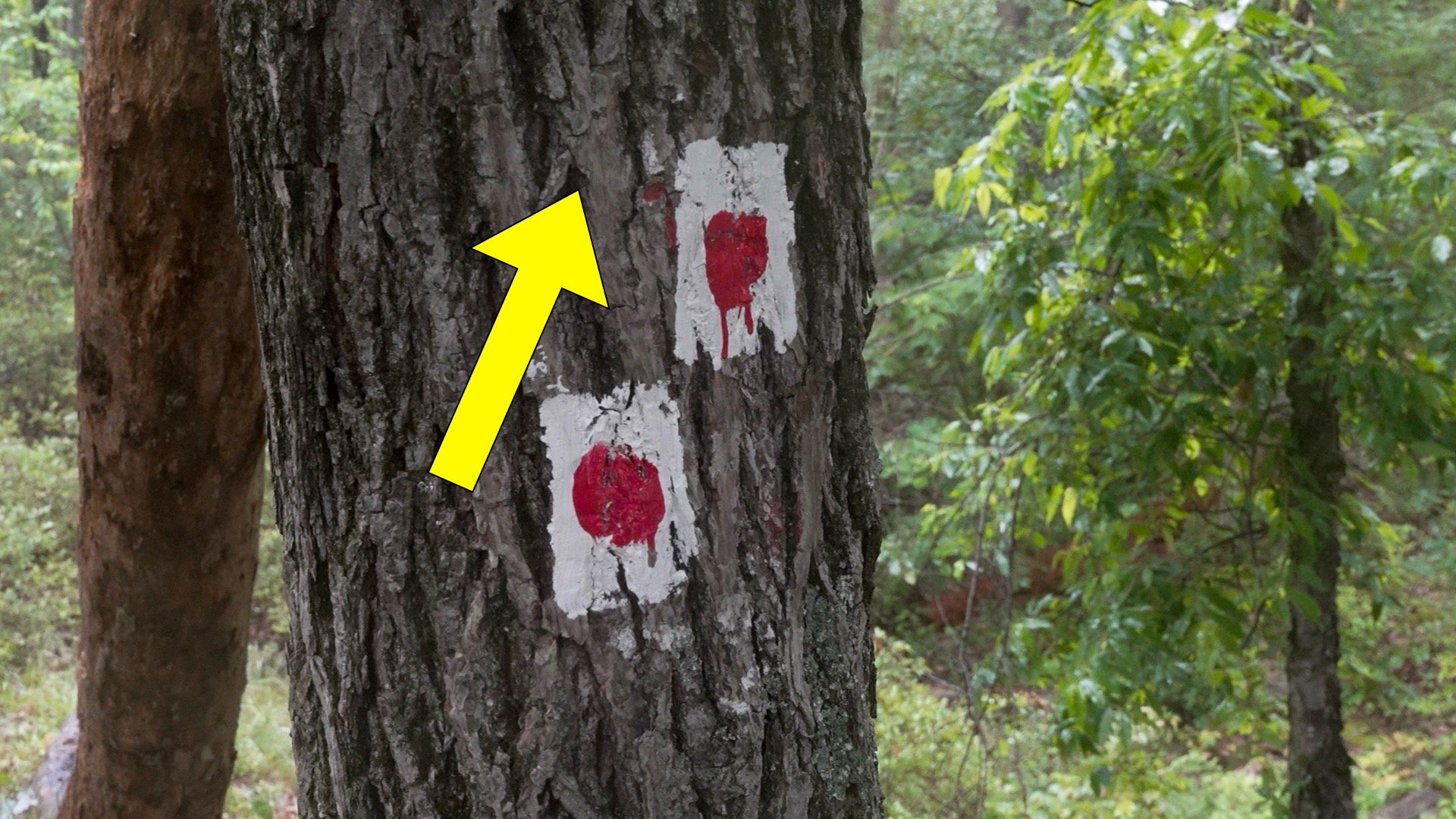 Mt Tammany Red Dot Directions 8