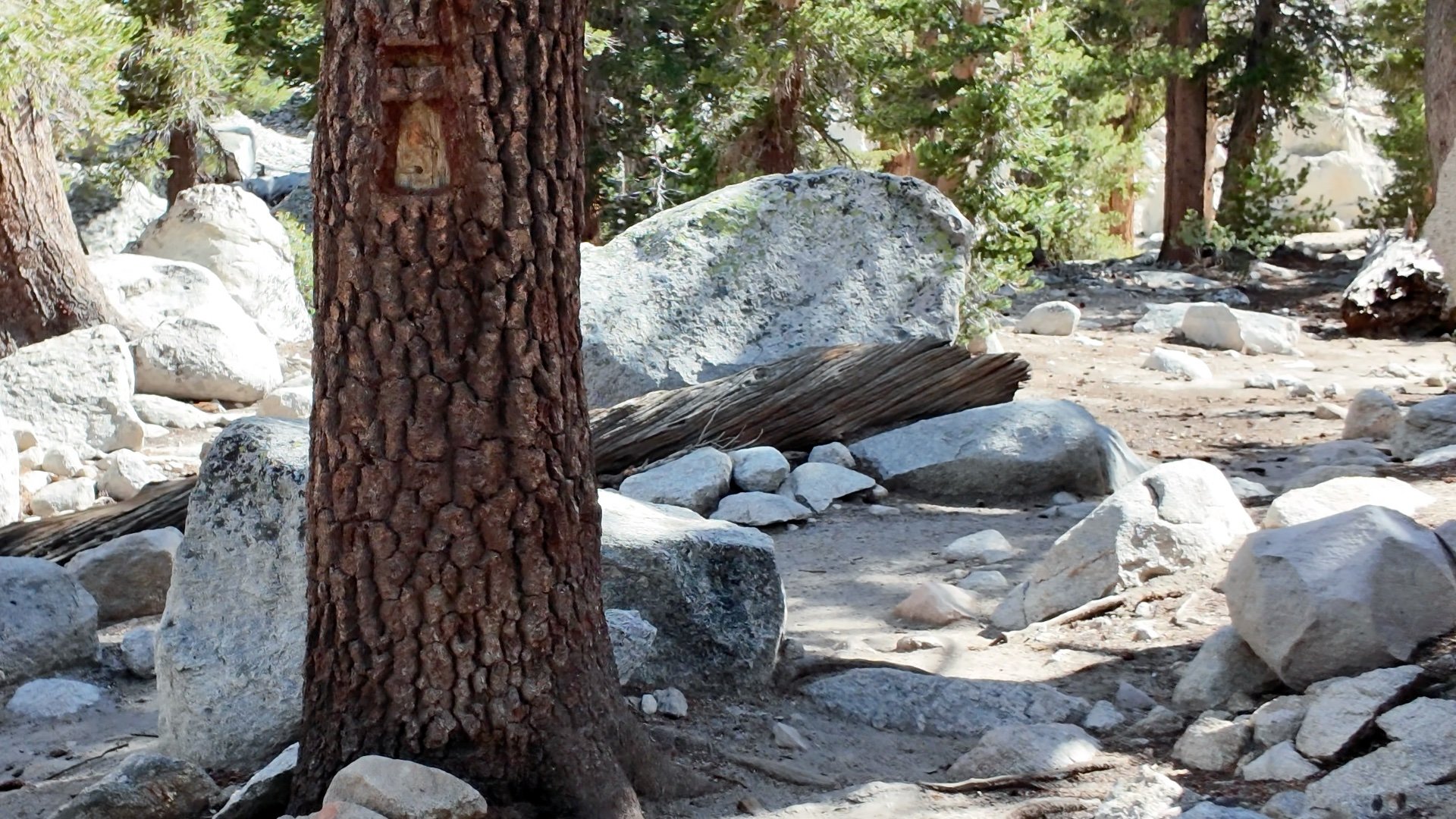 Mt Whitney Trail Directions 13