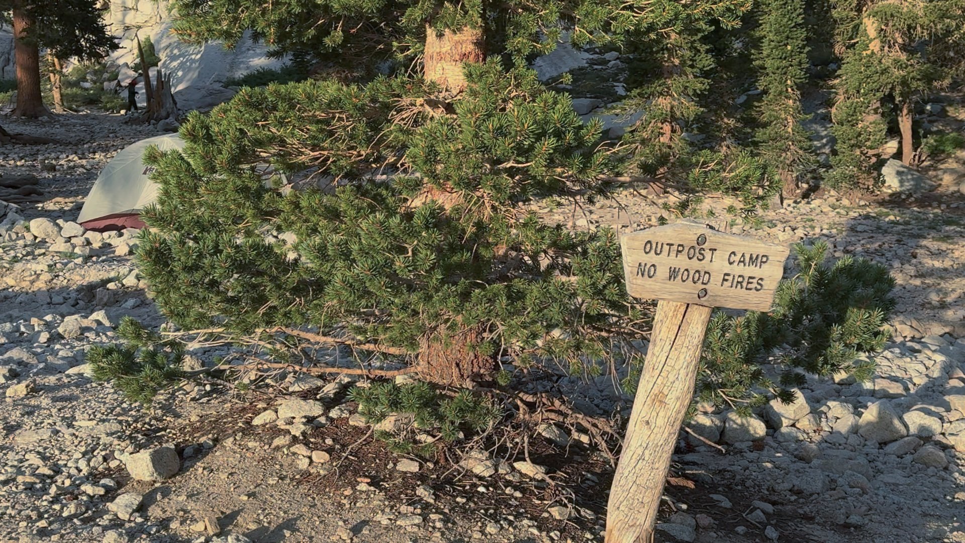 Mt Whitney Trail Directions 19