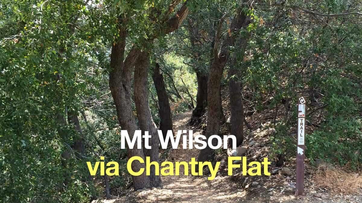 Mt Wilson Hike From Chantry Flat