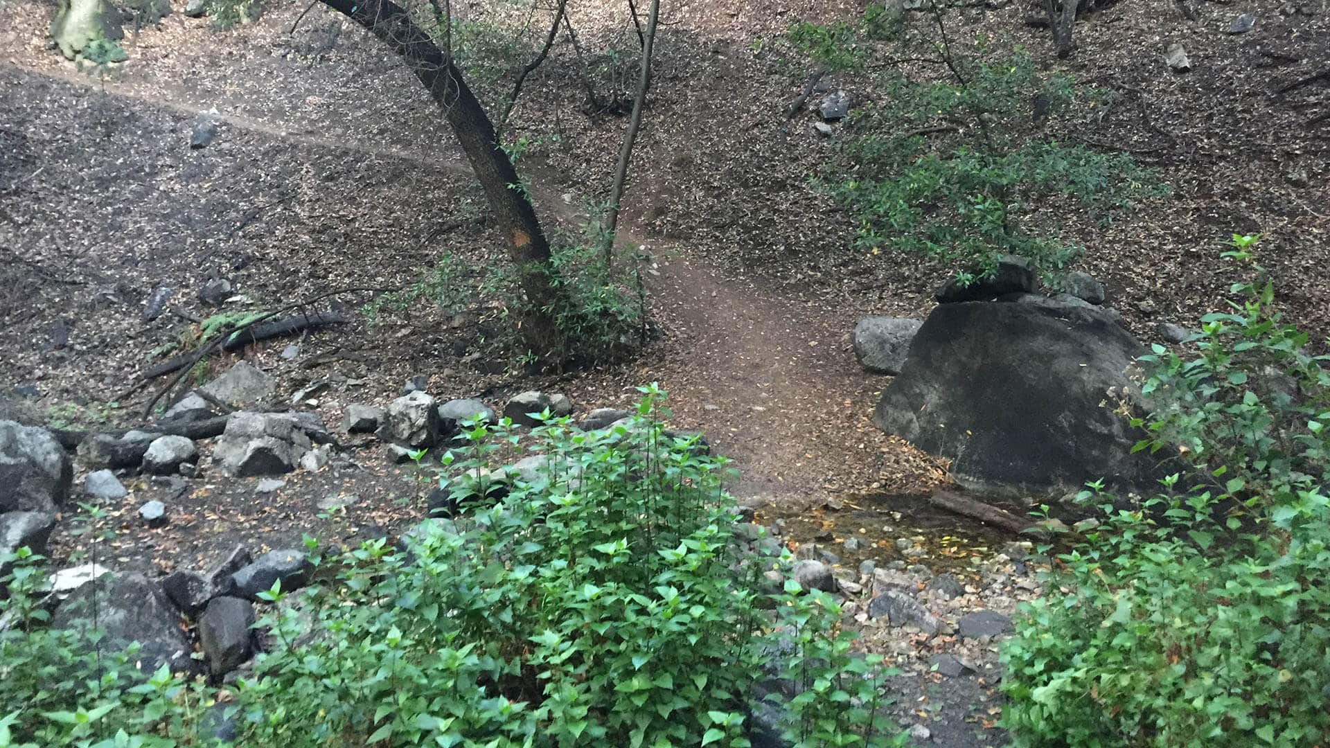 Mt Wilson Hike From Chantry Flat trail