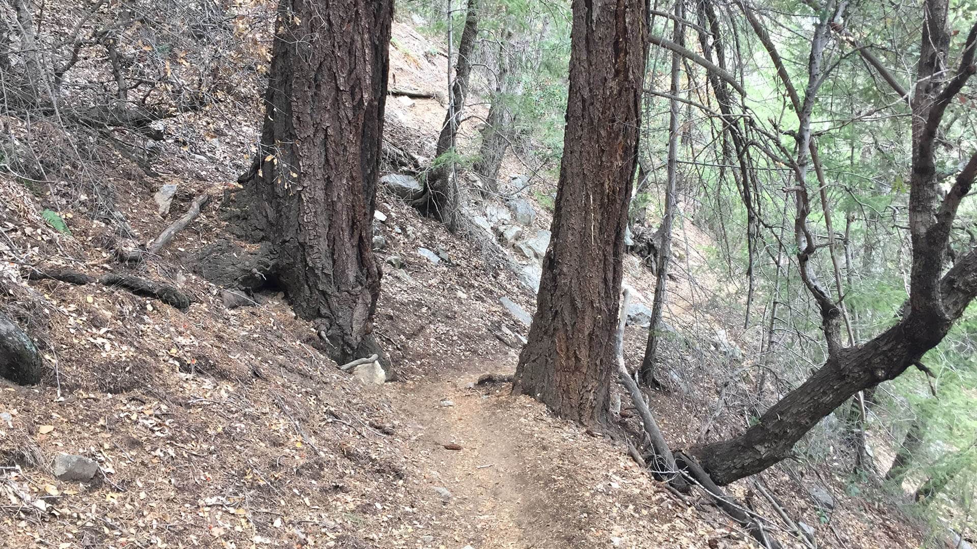 Mt Wilson Hike From Chantry Flat trail
