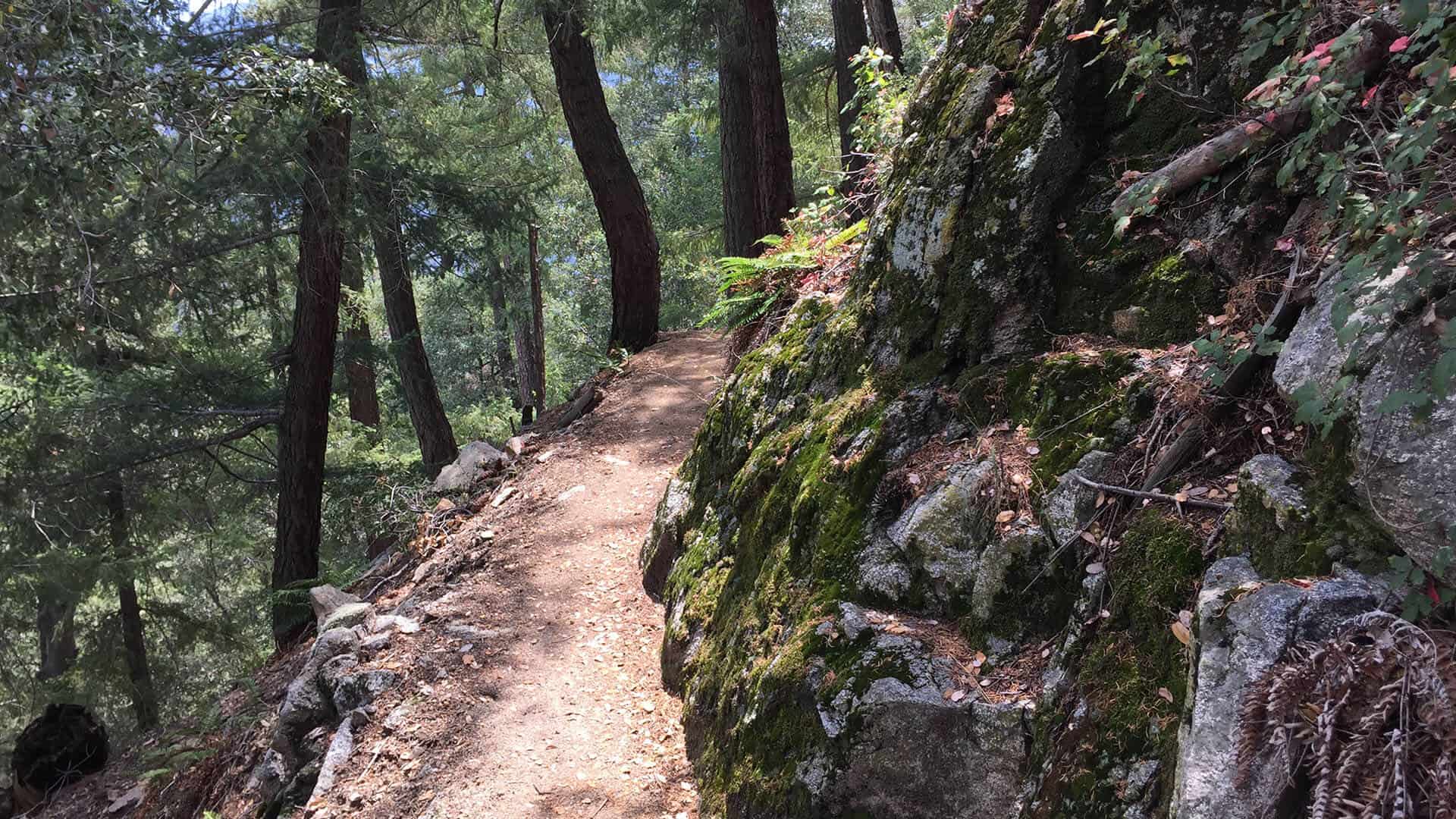 Mt Wilson Hike From Chantry Flat trail