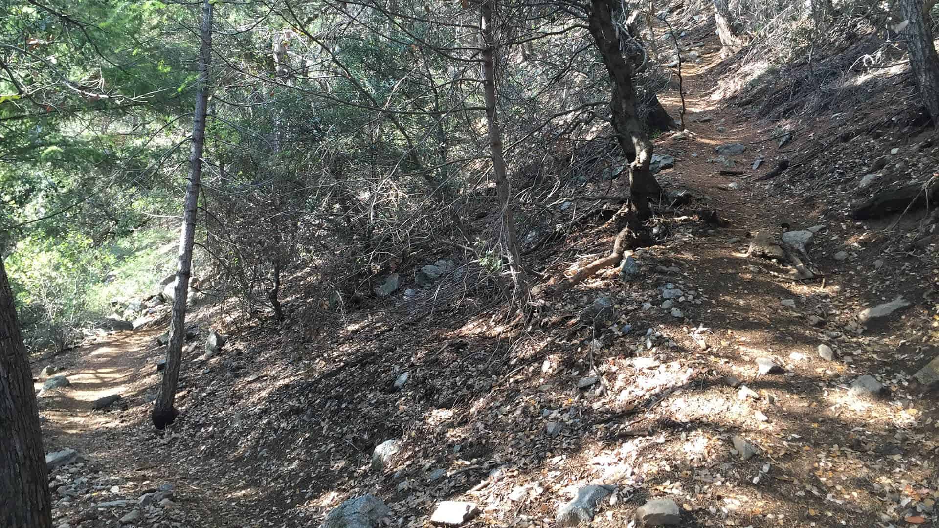 Mt Wilson Hike From Chantry Flat trail climbs