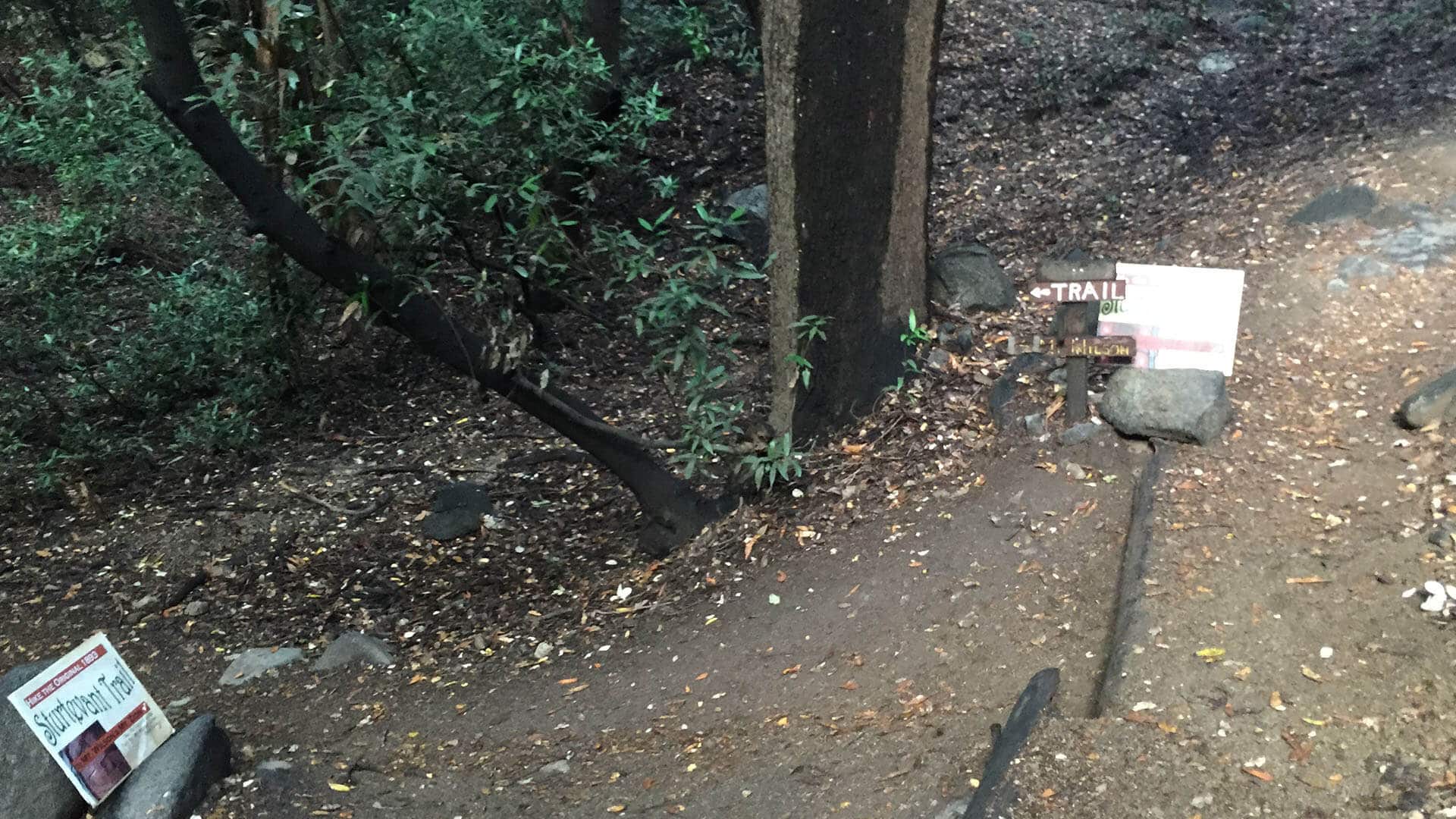 Mt Wilson Hike From Chantry Flat trail crosses stream