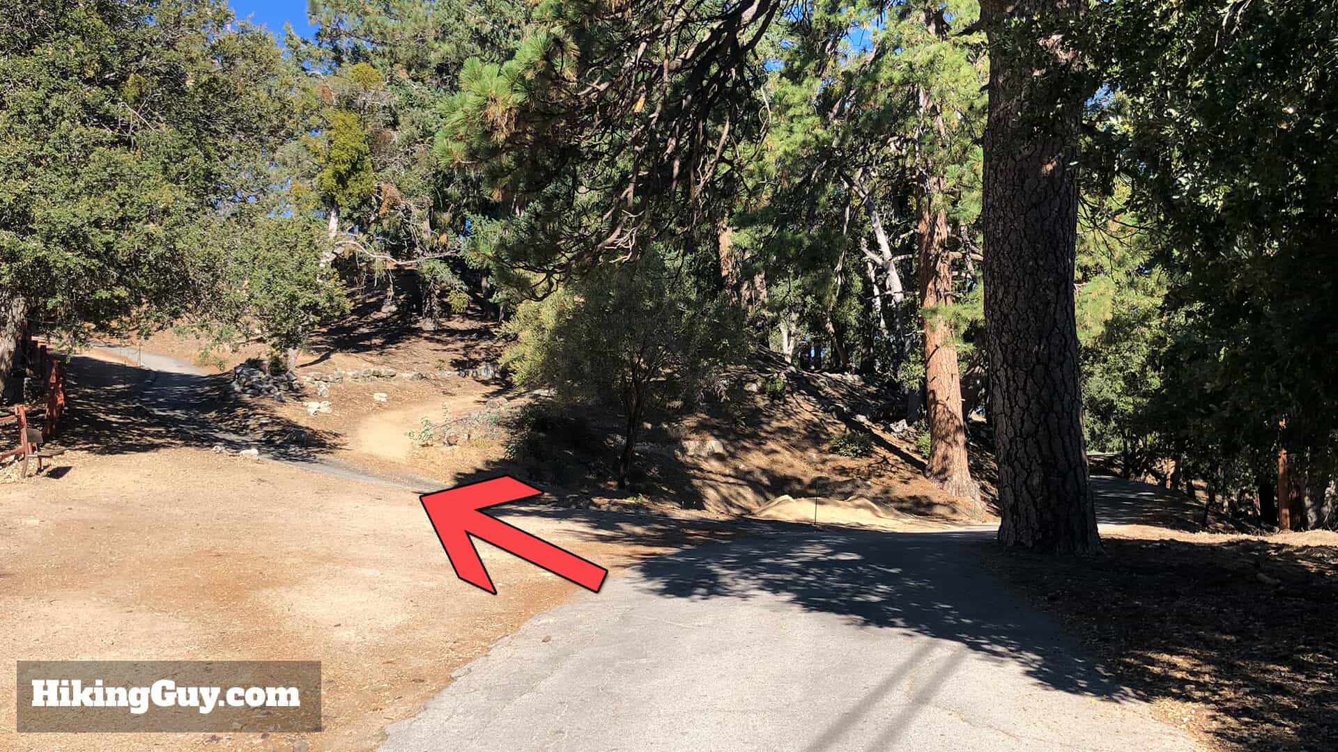 Mt Wilson Hike Updates 2