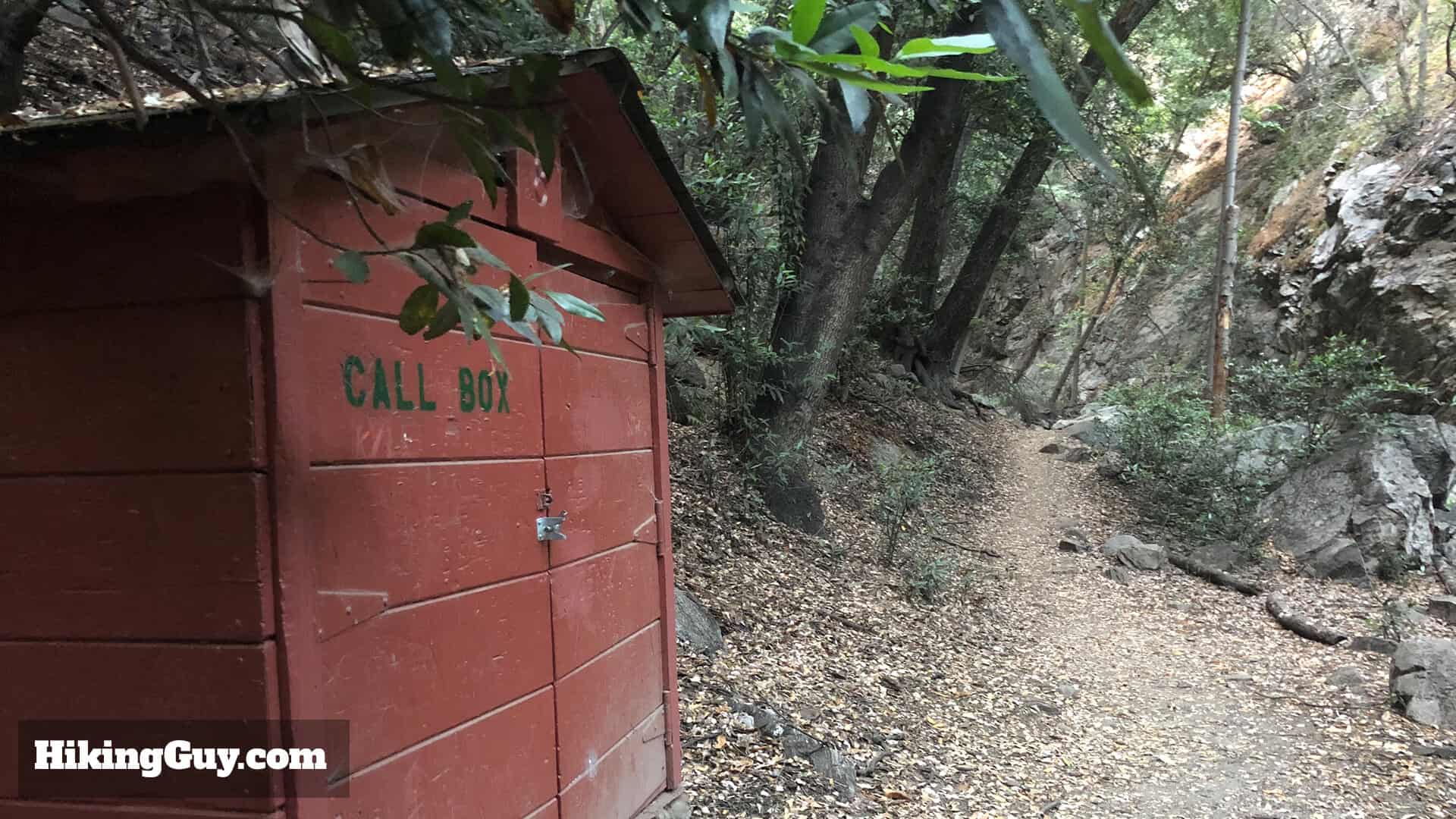 Mt Wilson Hike Updates 8