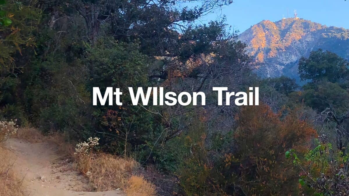 Mt Wilson Trail Hike