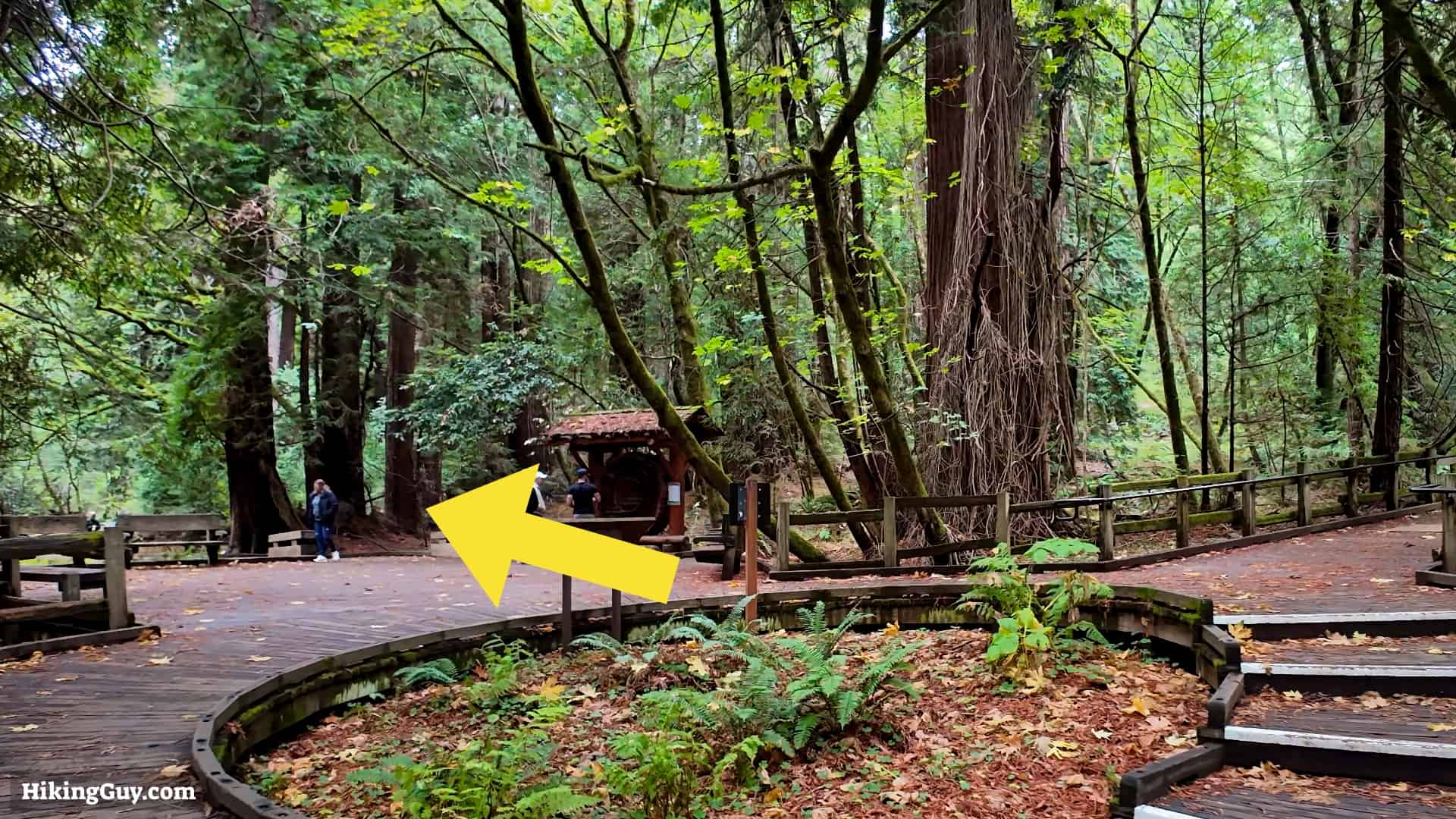 Muir Woods Main Trail Directions 03