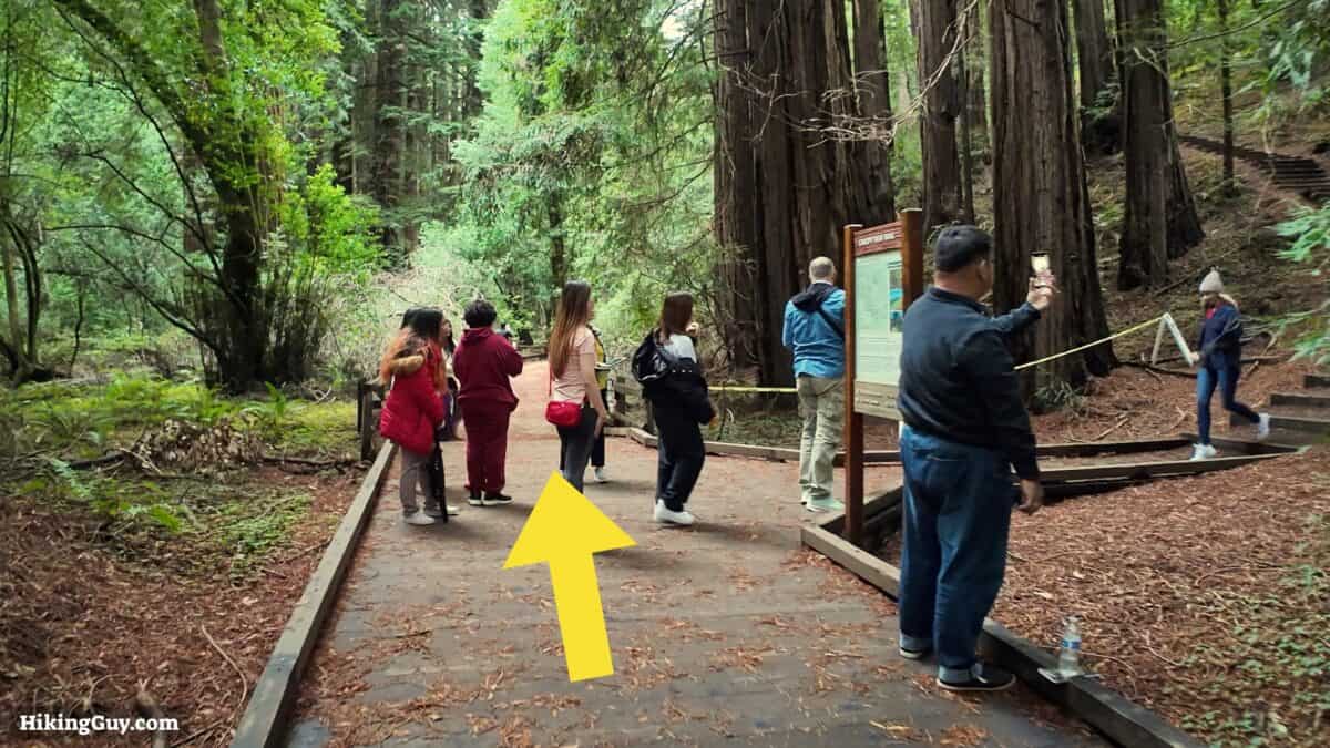 Muir Woods Main Trail Directions 04