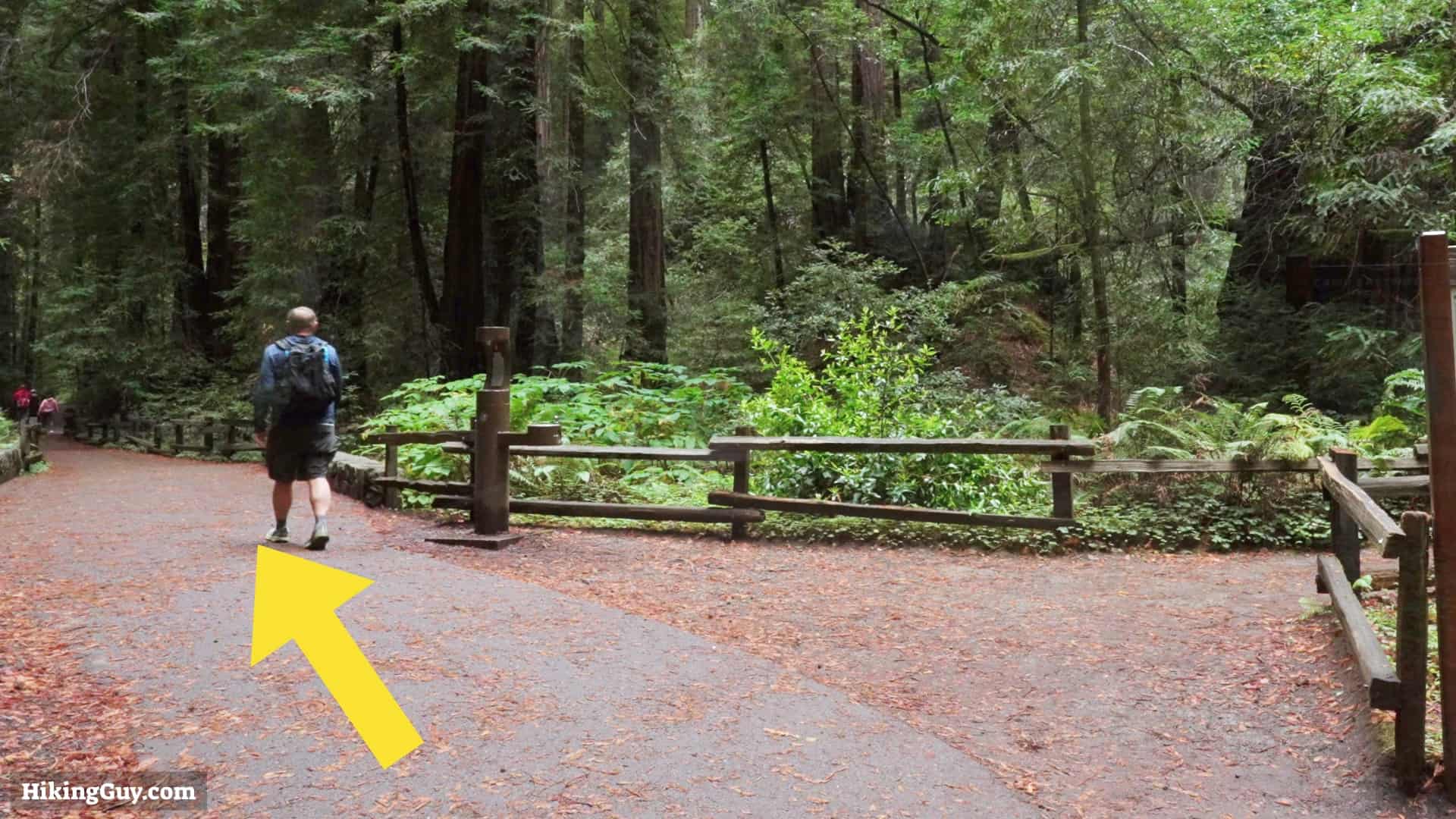 Muir Woods Main Trail Directions 08