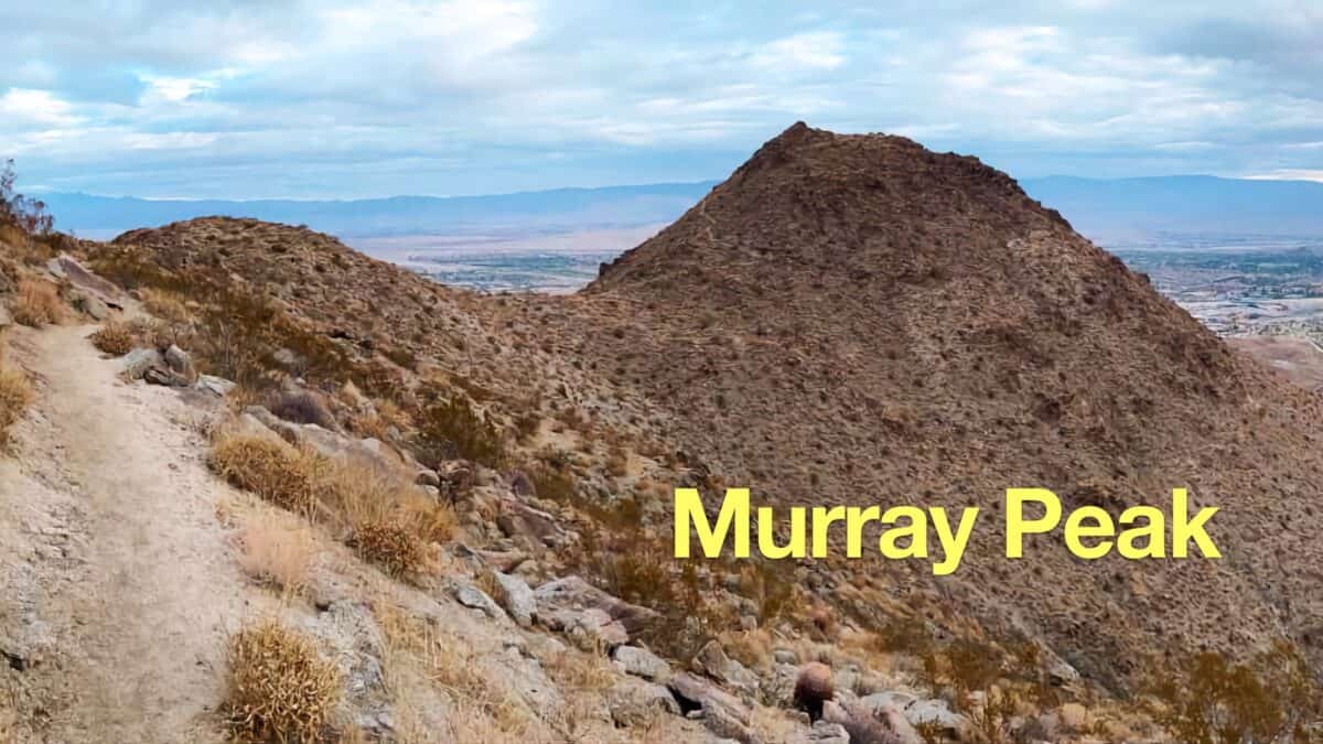 Murray Peak Hike (Palm Springs)