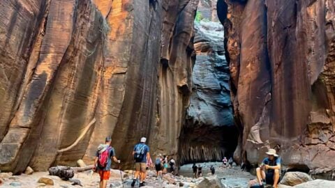 Hike the Narrows (Zion) to Wall Street
