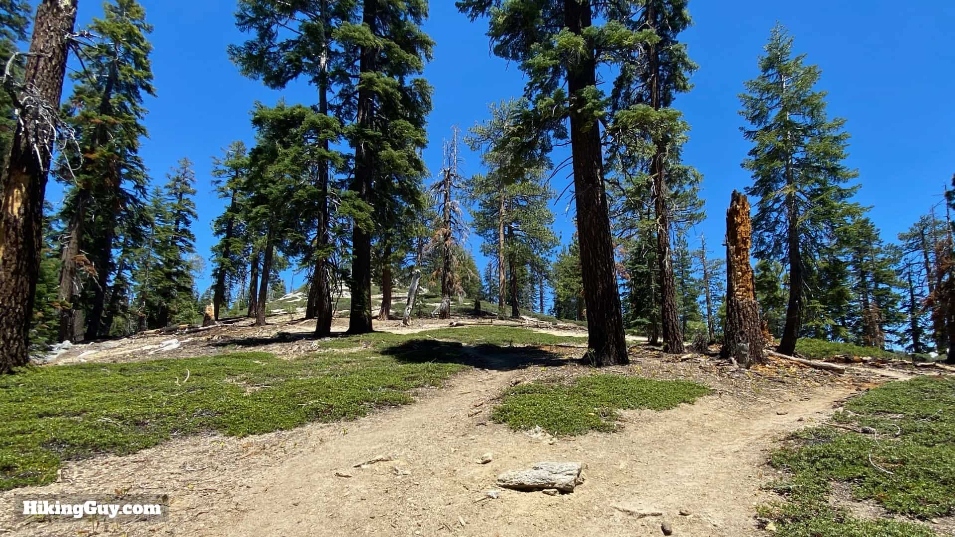 North Dome Hike Directions 15