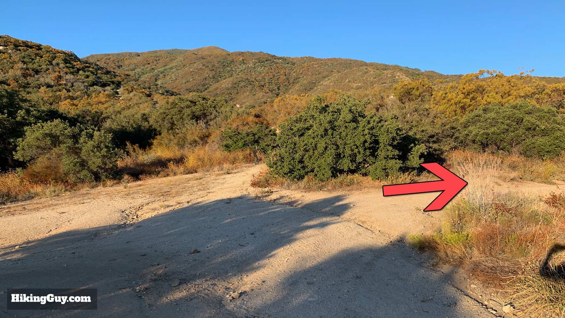 Oak Grove High Point Hike 11