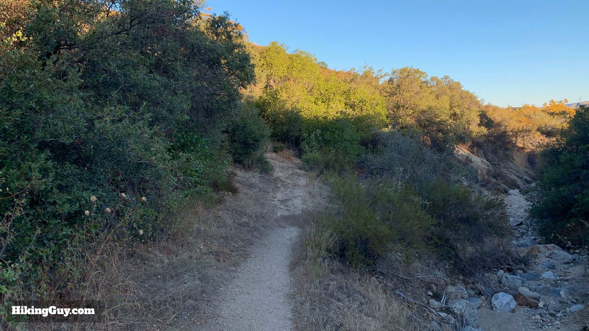 Oak Grove High Point Hike 14