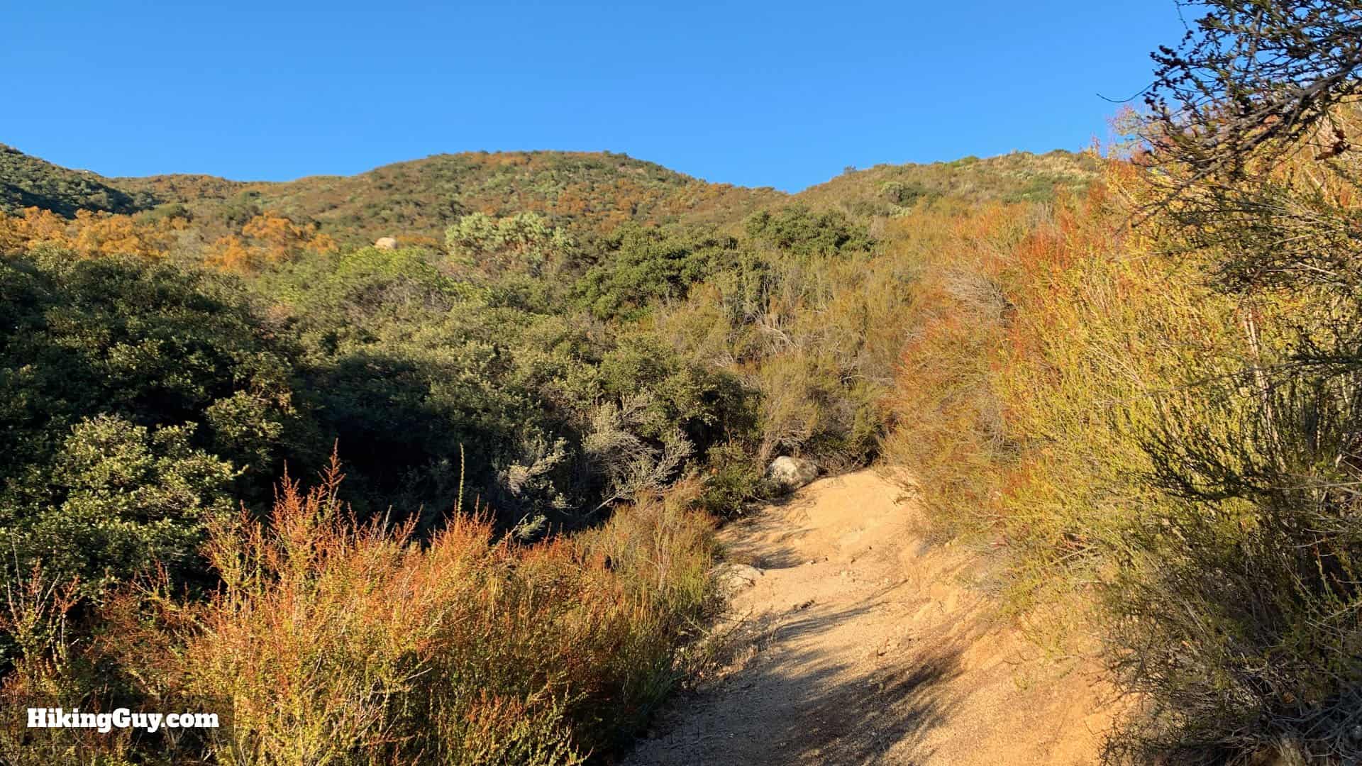 Oak Grove High Point Hike 15